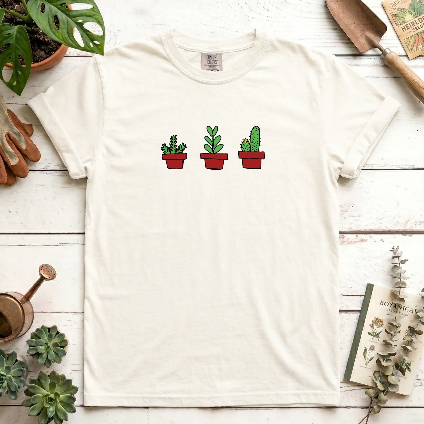 house plants