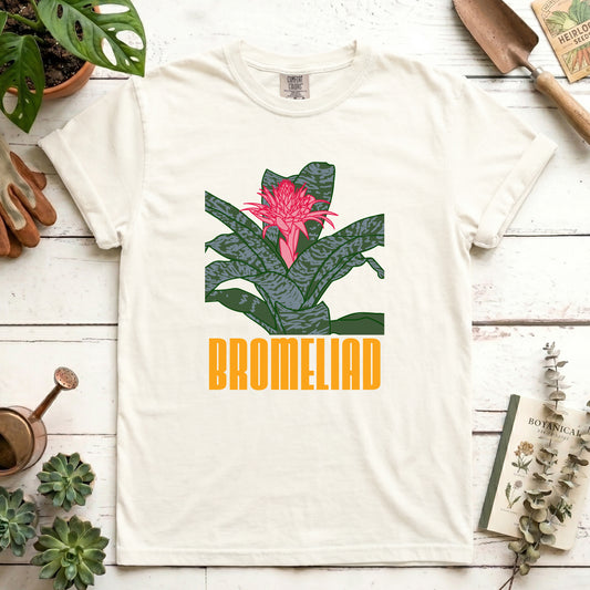 Bromeliad - Front