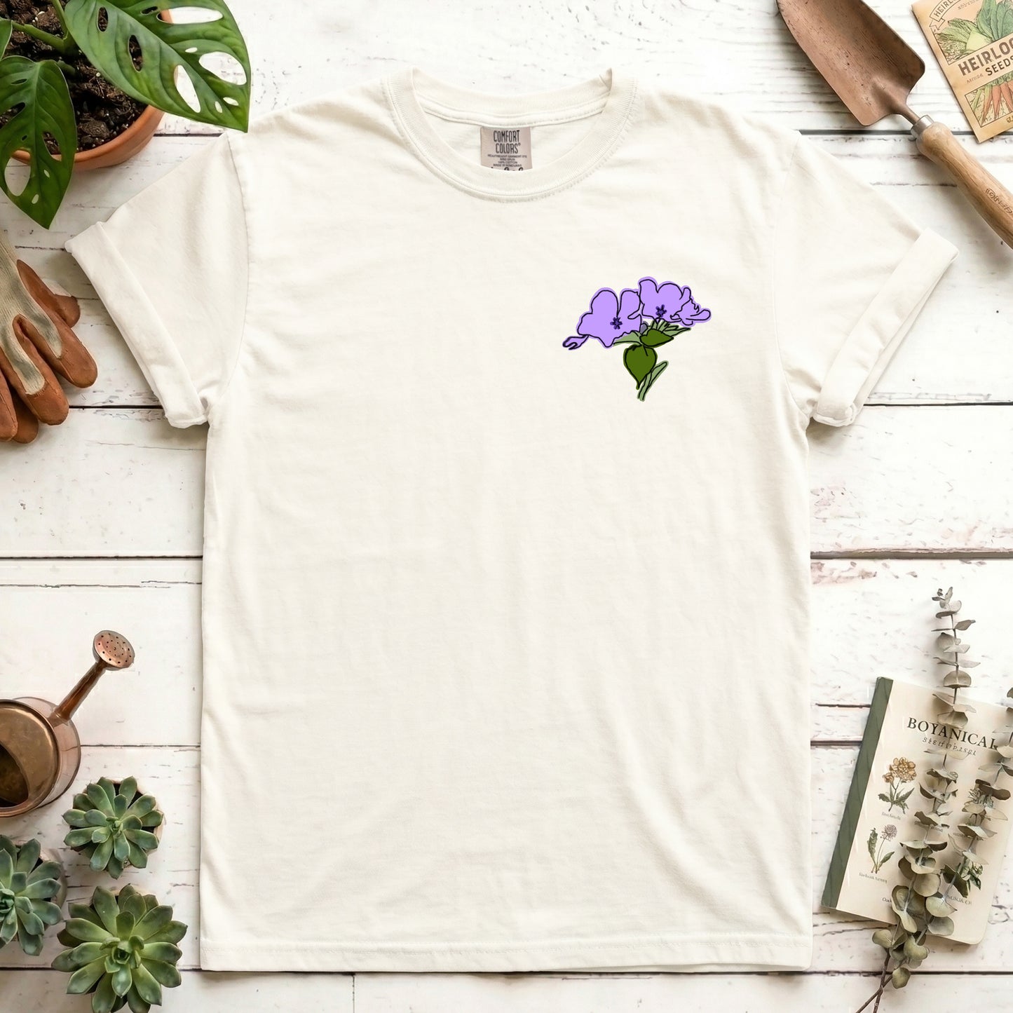 phlox