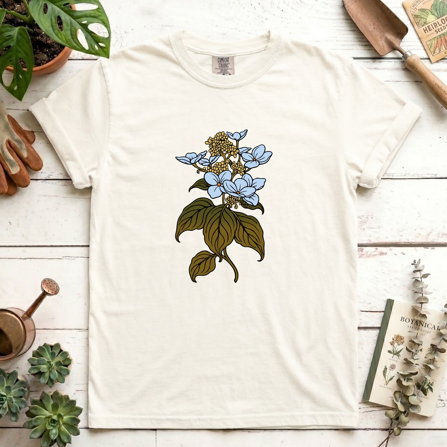 Hydrangea - Front