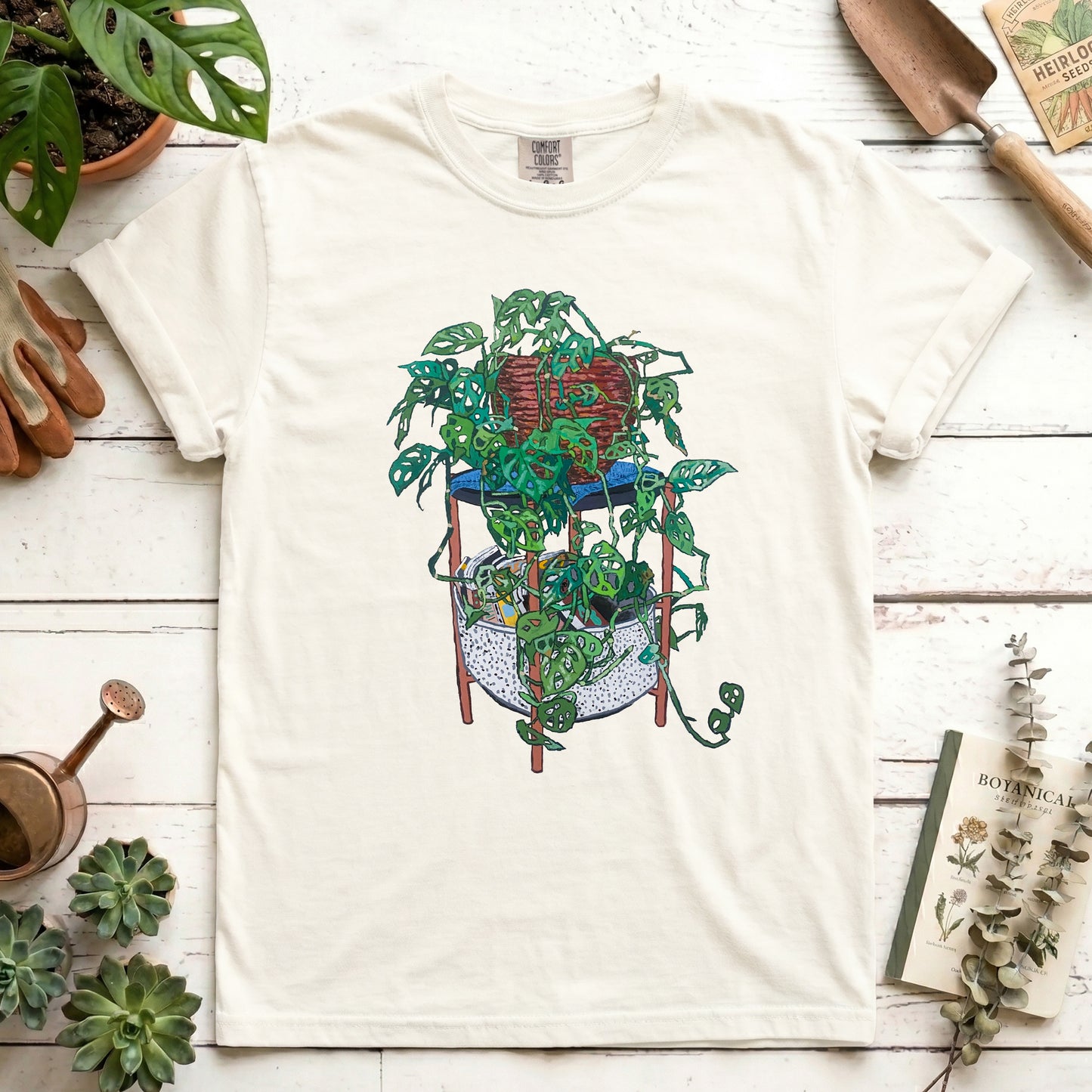 Japanese Monstera