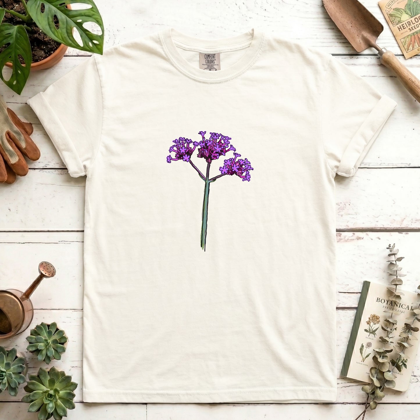 Vervain