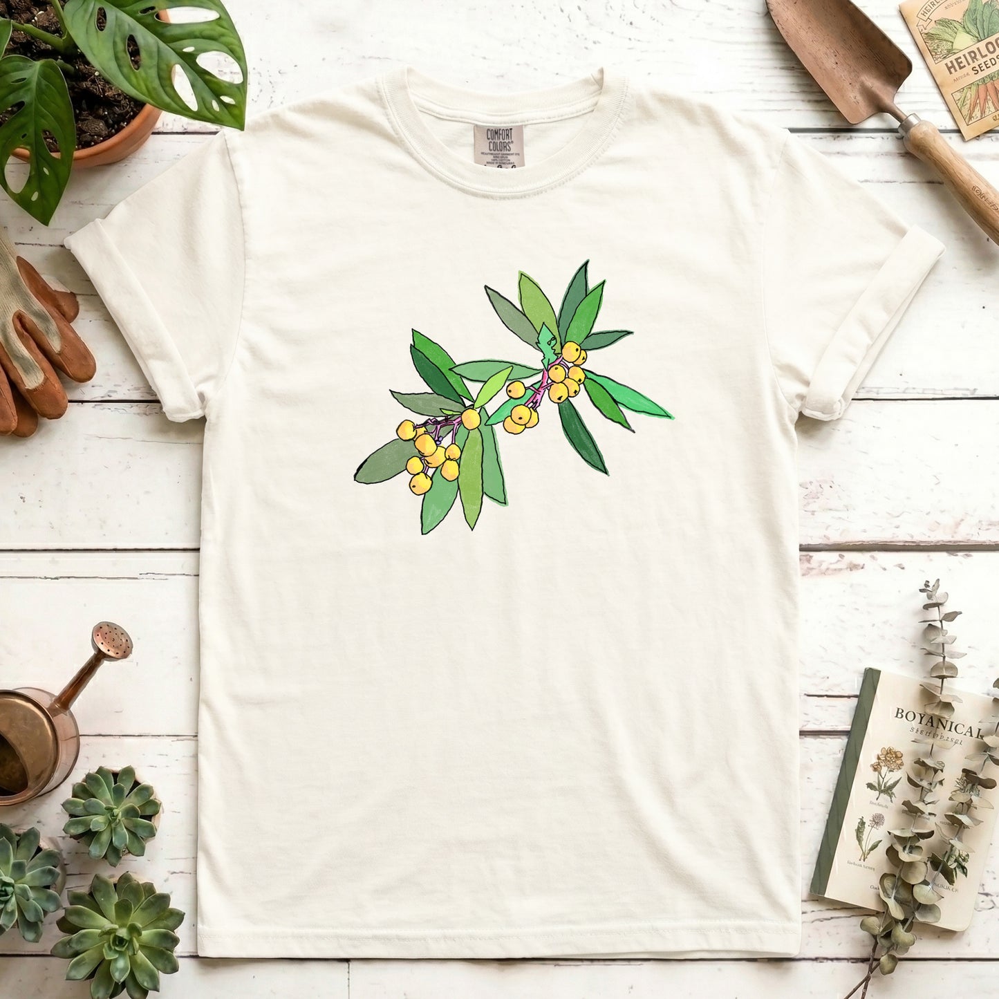 Loquat