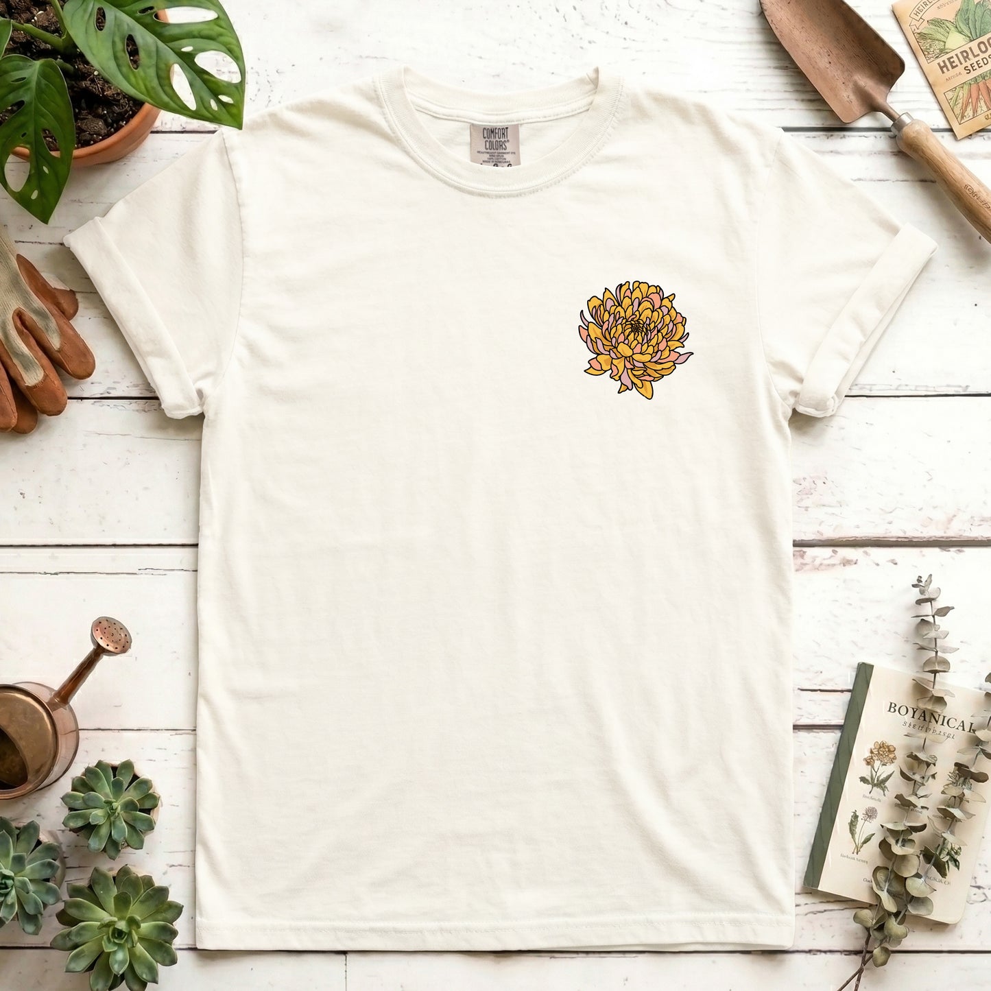 Chrysanthemum