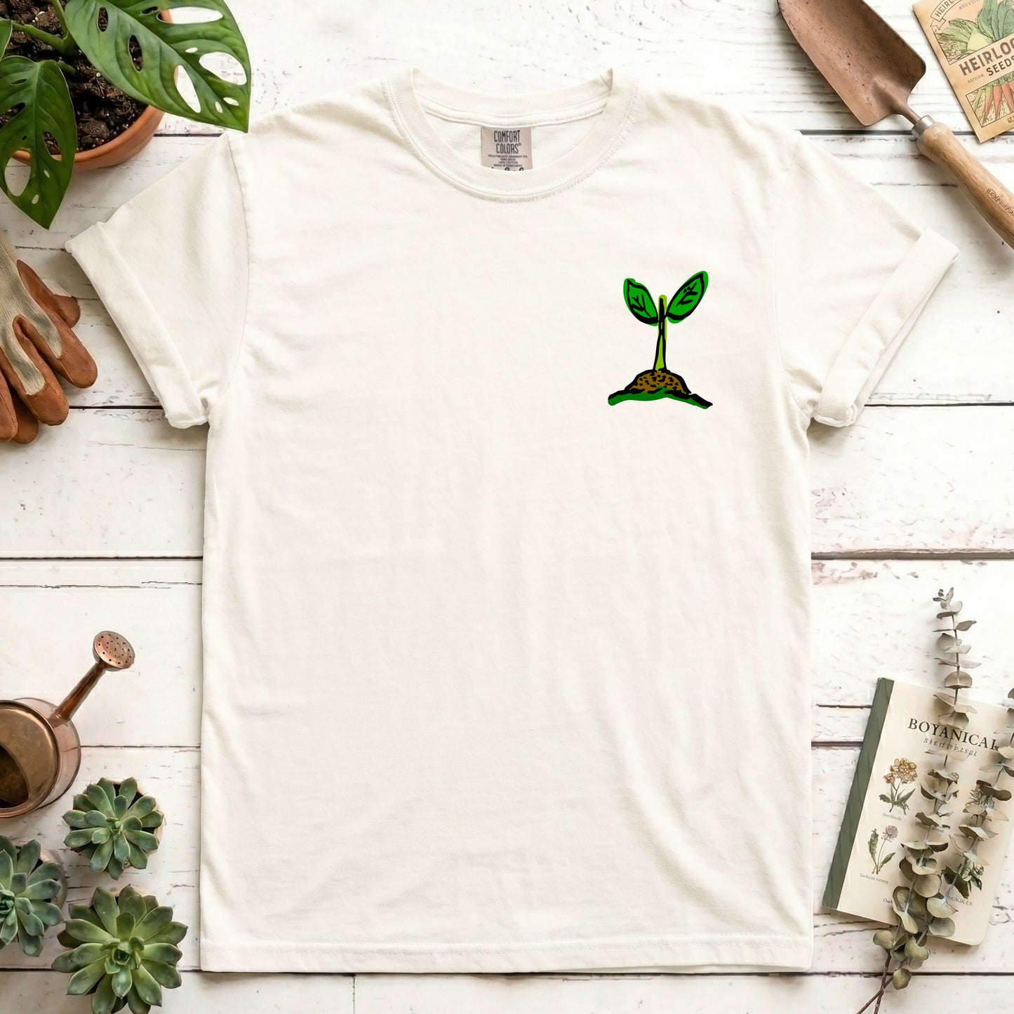 Seedling