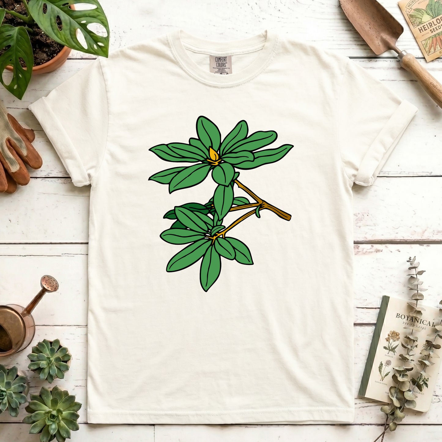 Rhododendron - Front