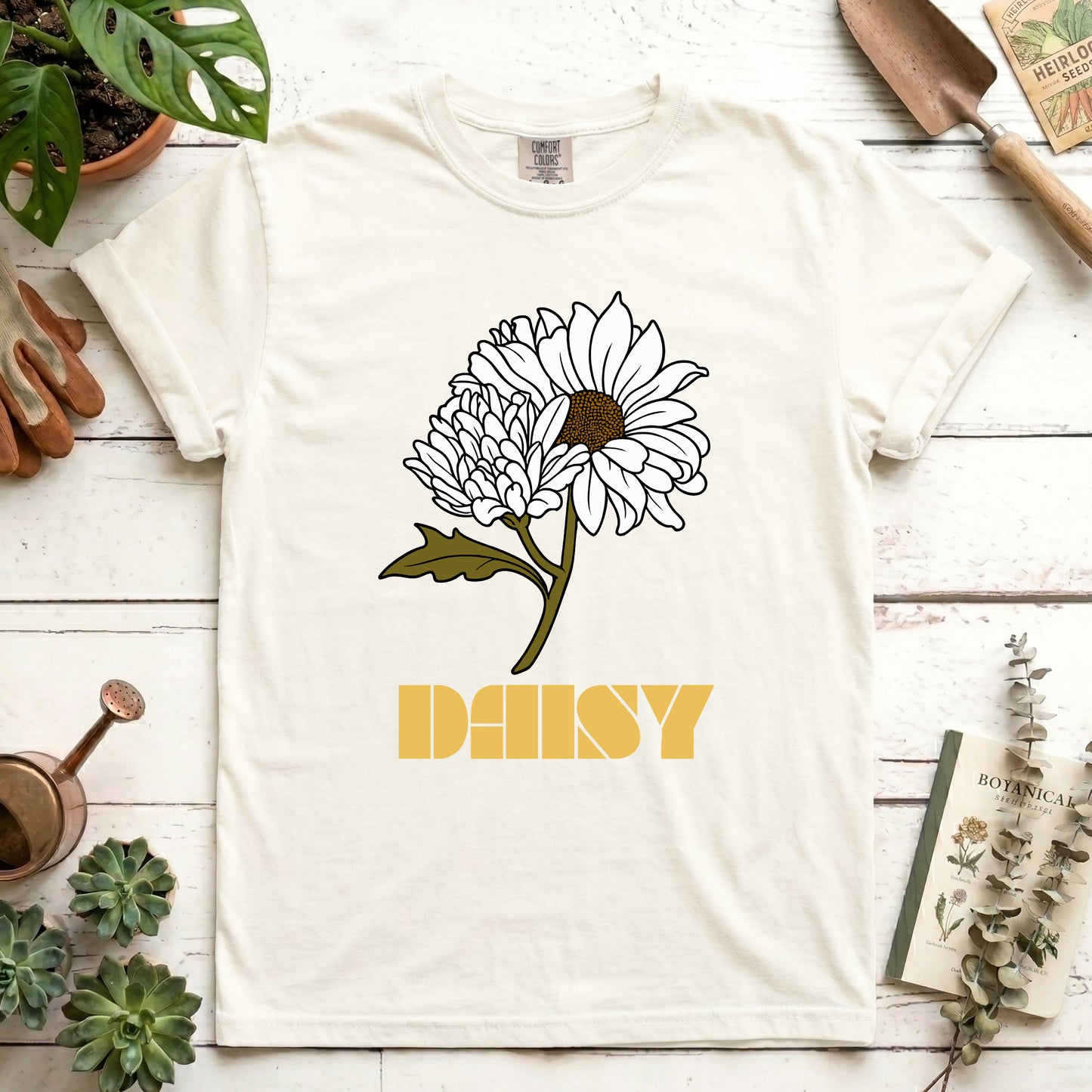 Daisy