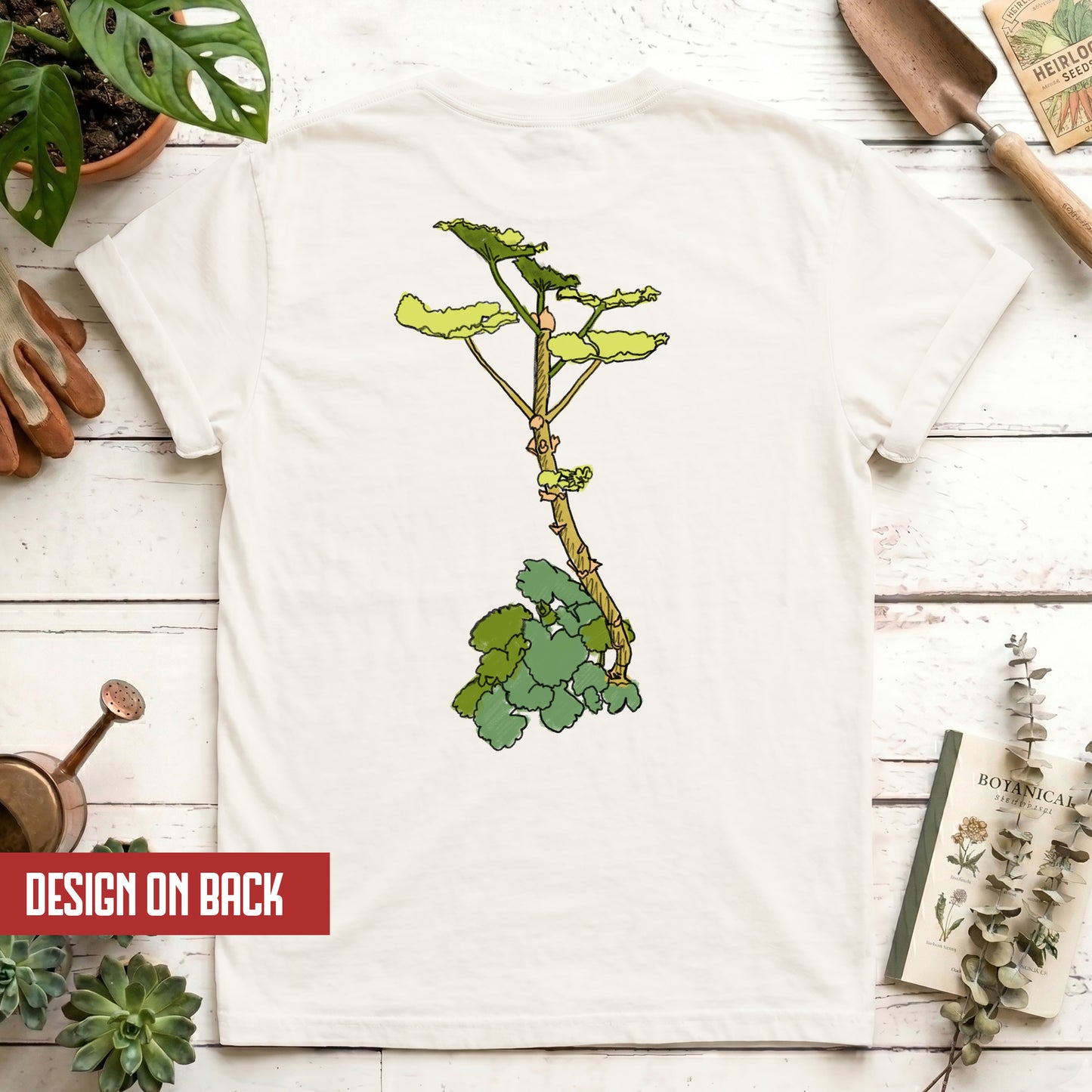 Begonia