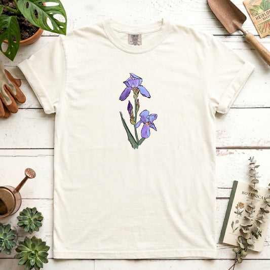 Iris sketch - Front