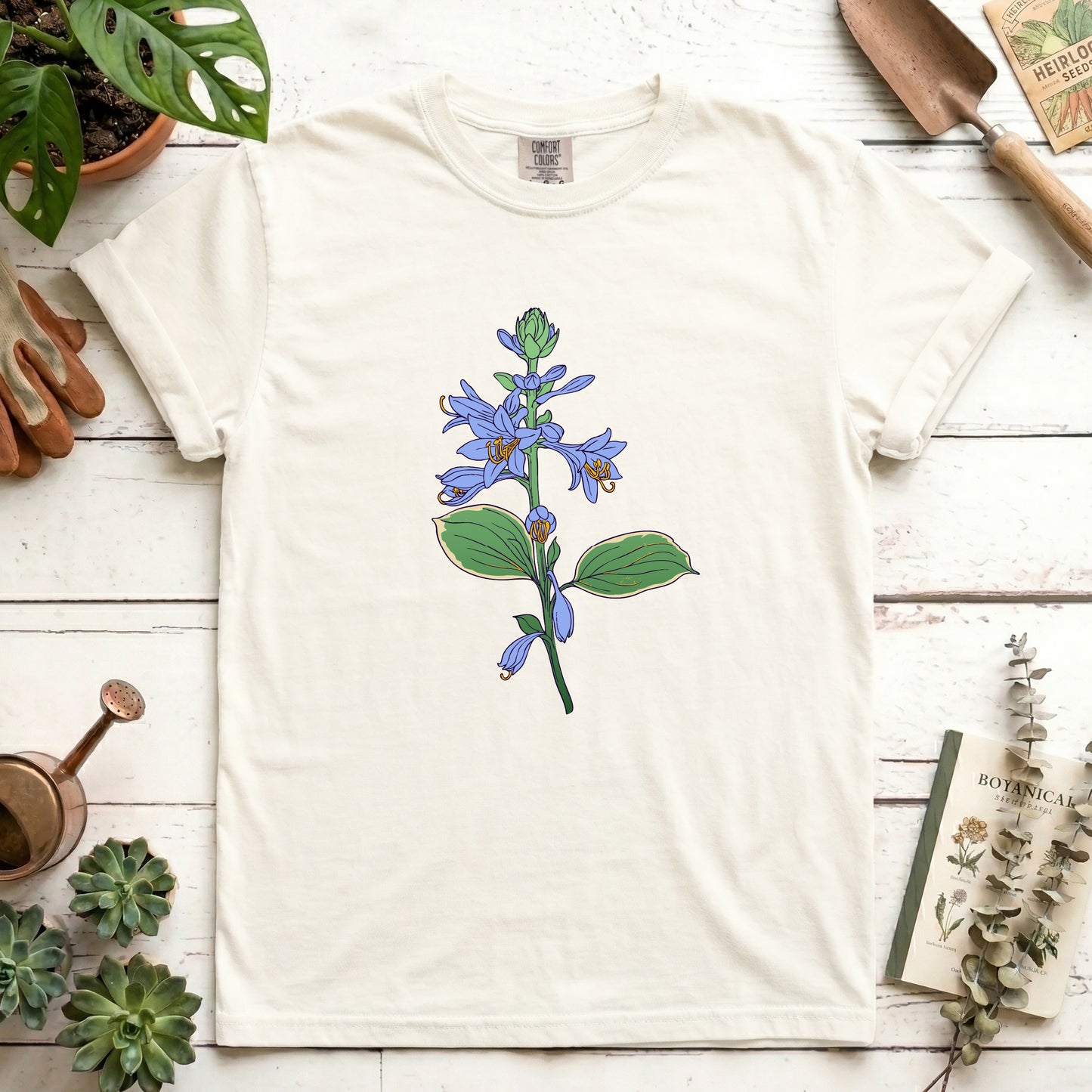 Hosta - Front