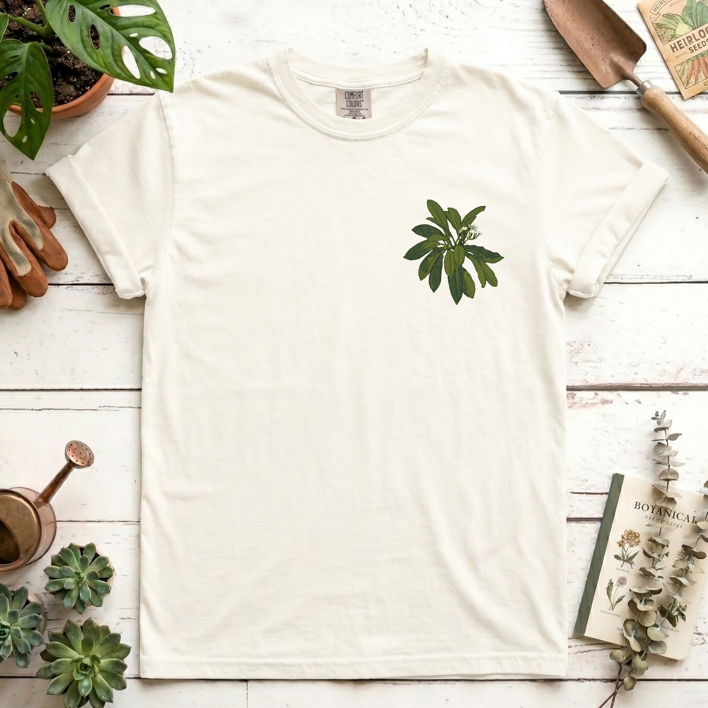 Euphorbia - Front