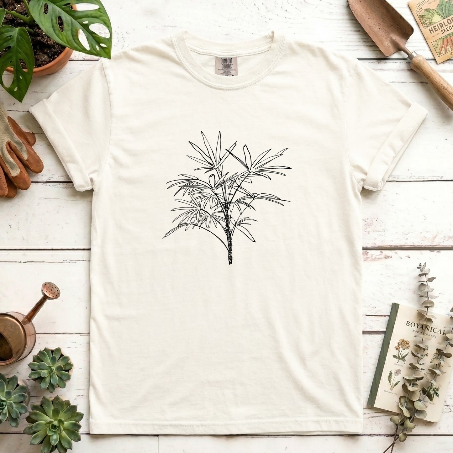 Lady Palm - Front