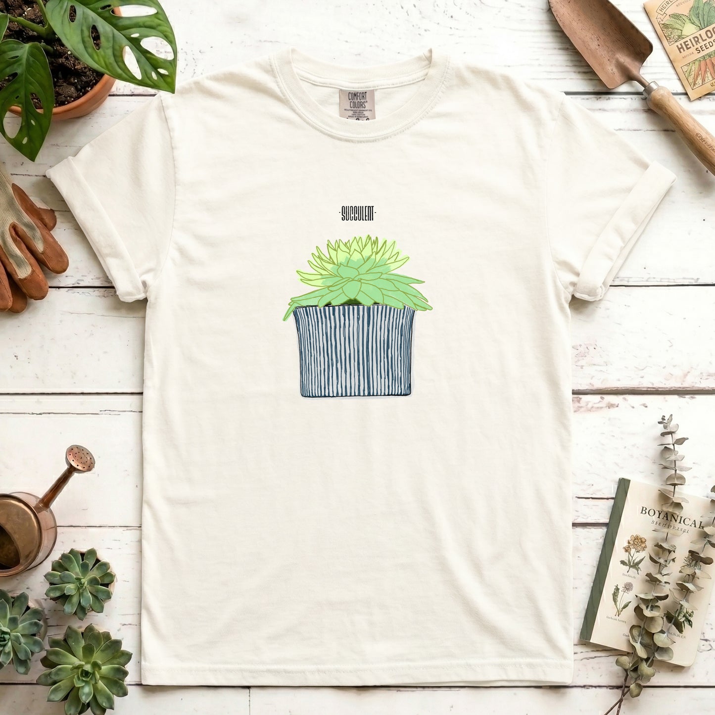Succulent