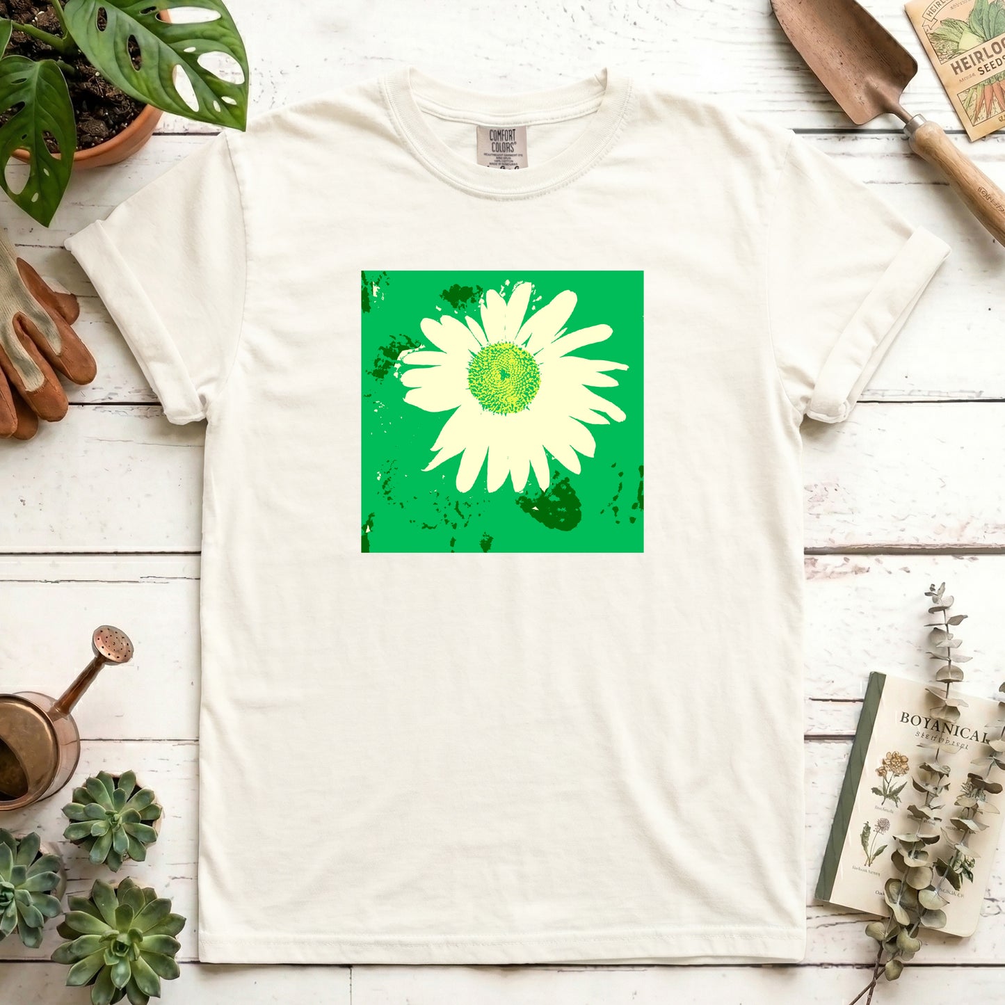 Pop of Daisy