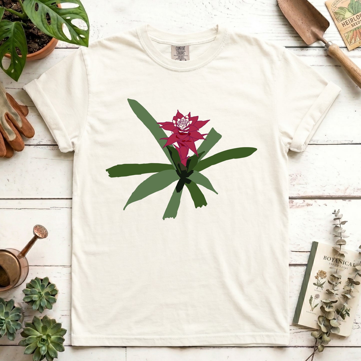 maroon bromeliad