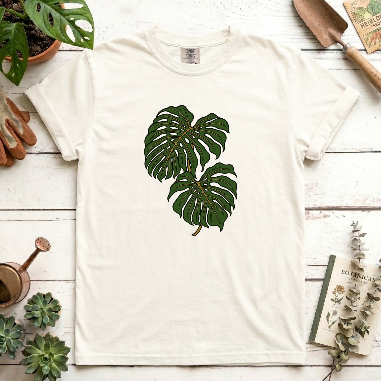 Monstera - Front