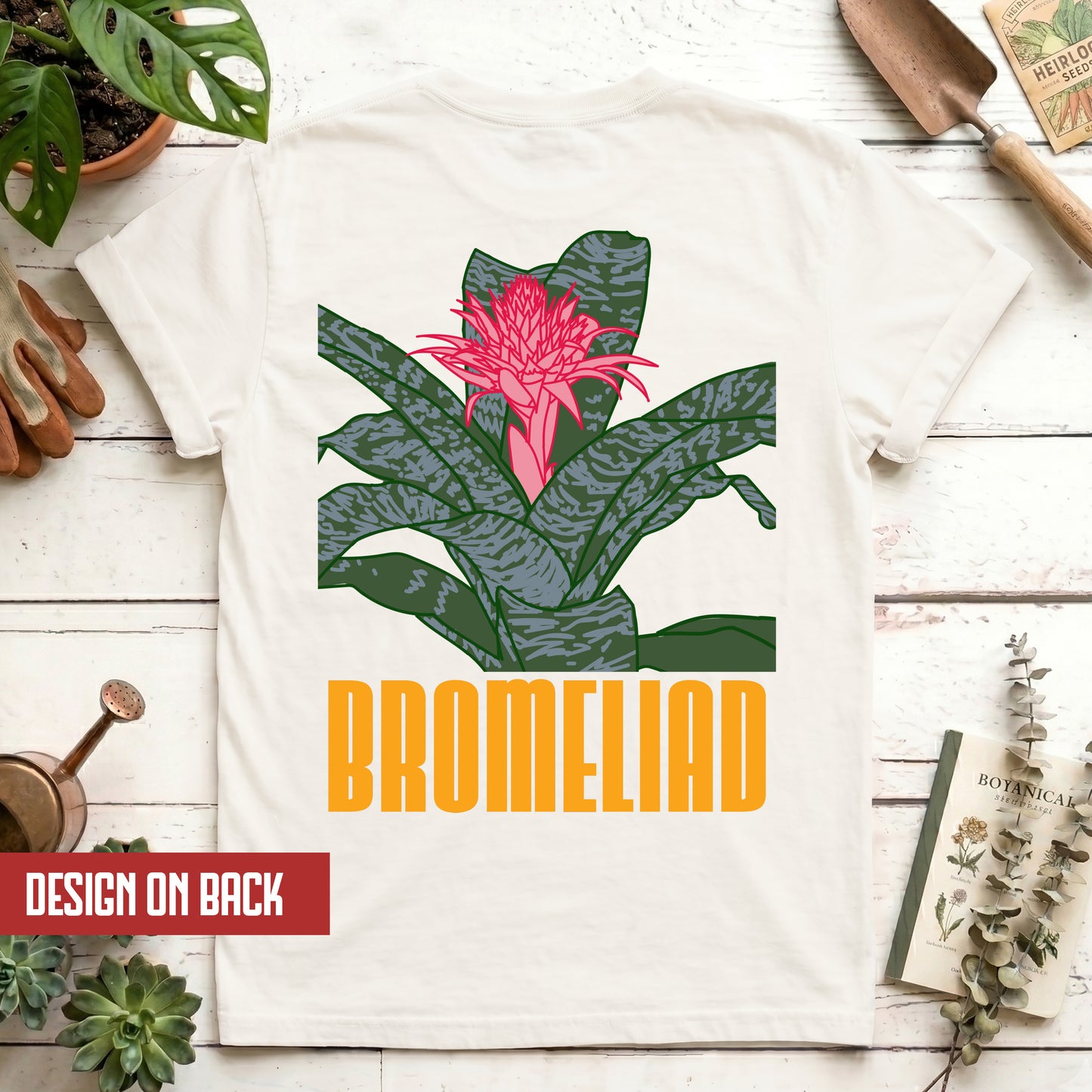 Bromeliad