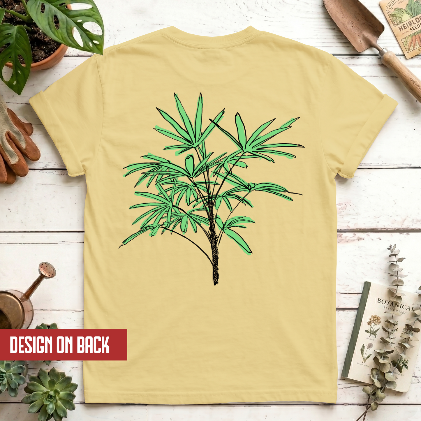 Lady Palm