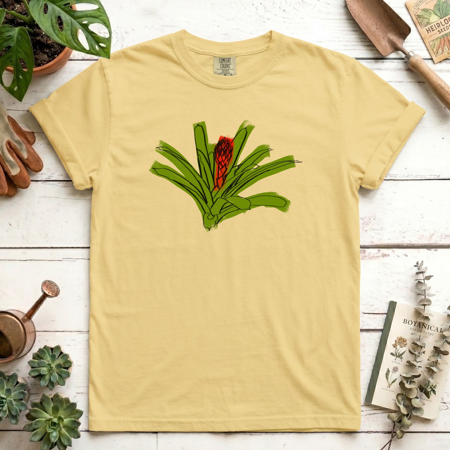 Bromeliad sketch
