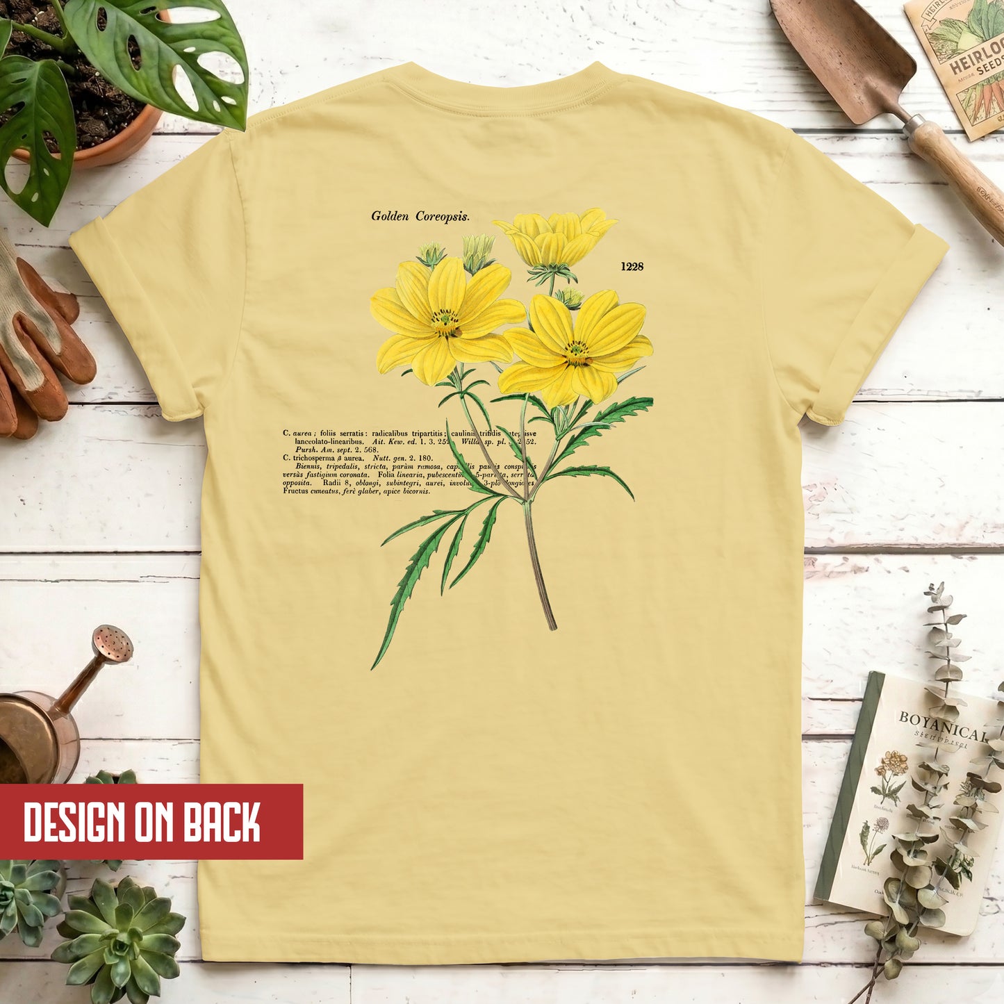 Golden Coreopsis