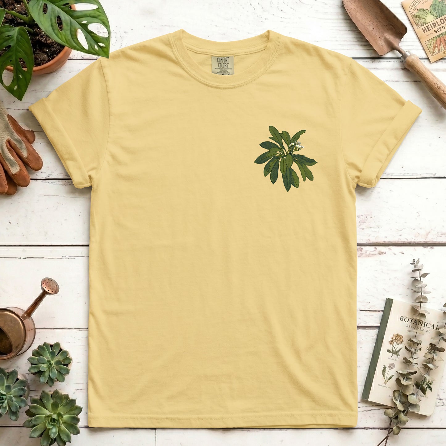 Euphorbia - Front