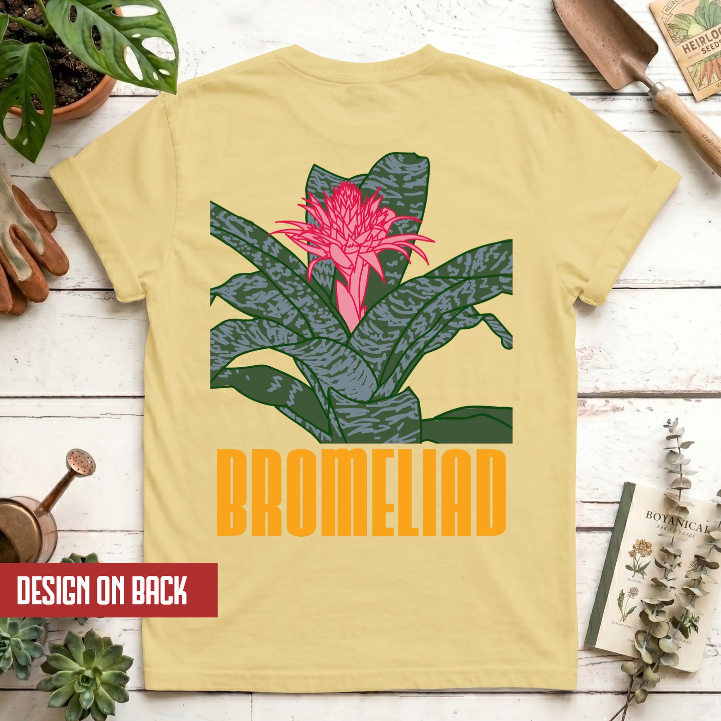 Bromeliad