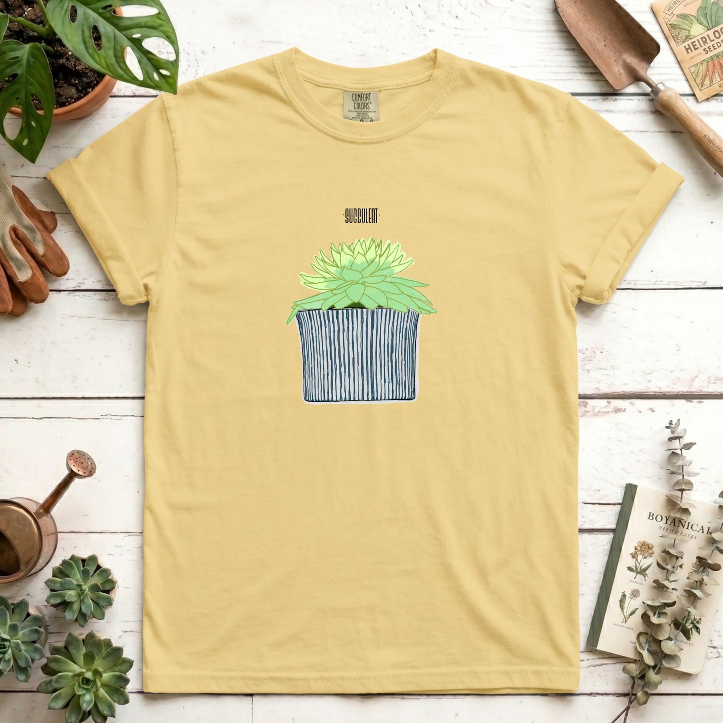 Succulent