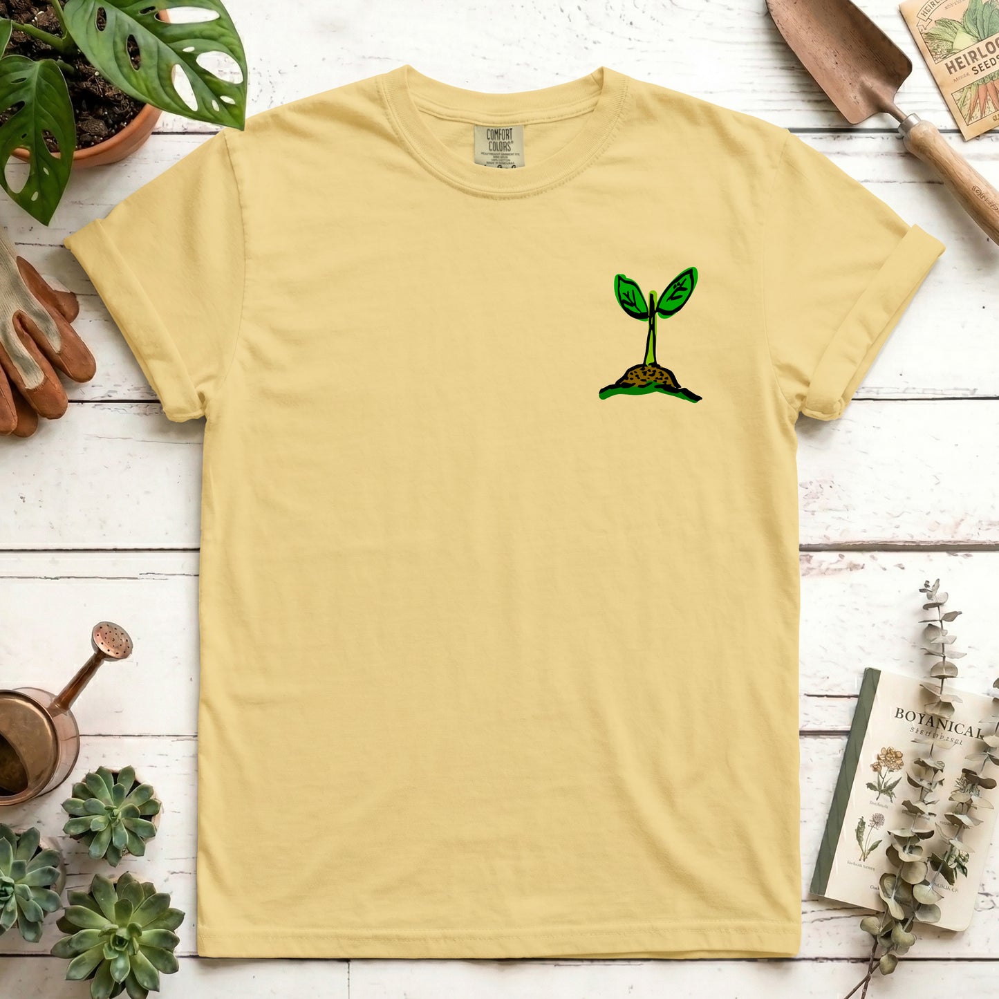 Seedling