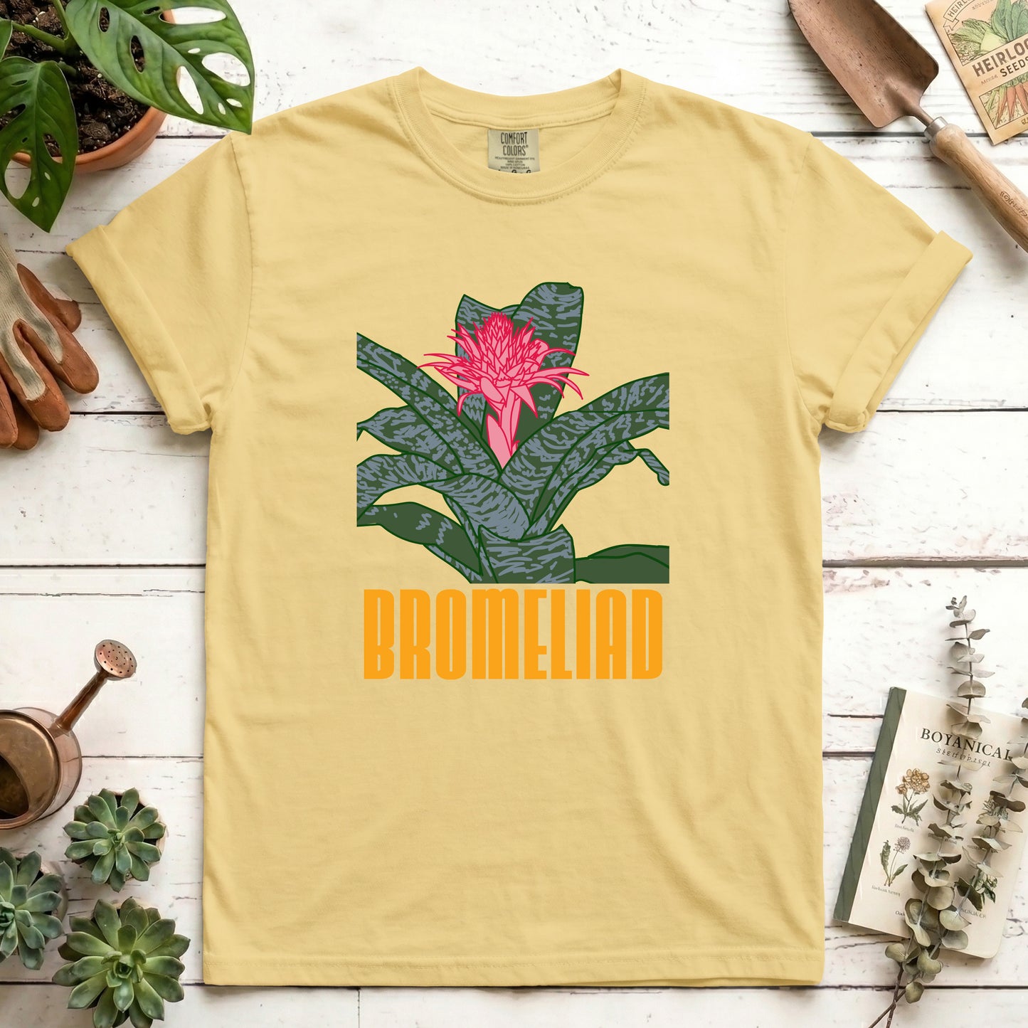 Bromeliad - Front