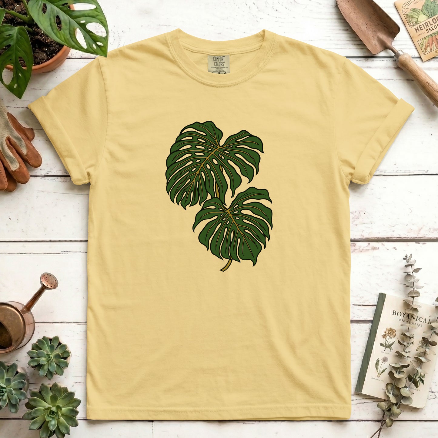 Monstera - Front