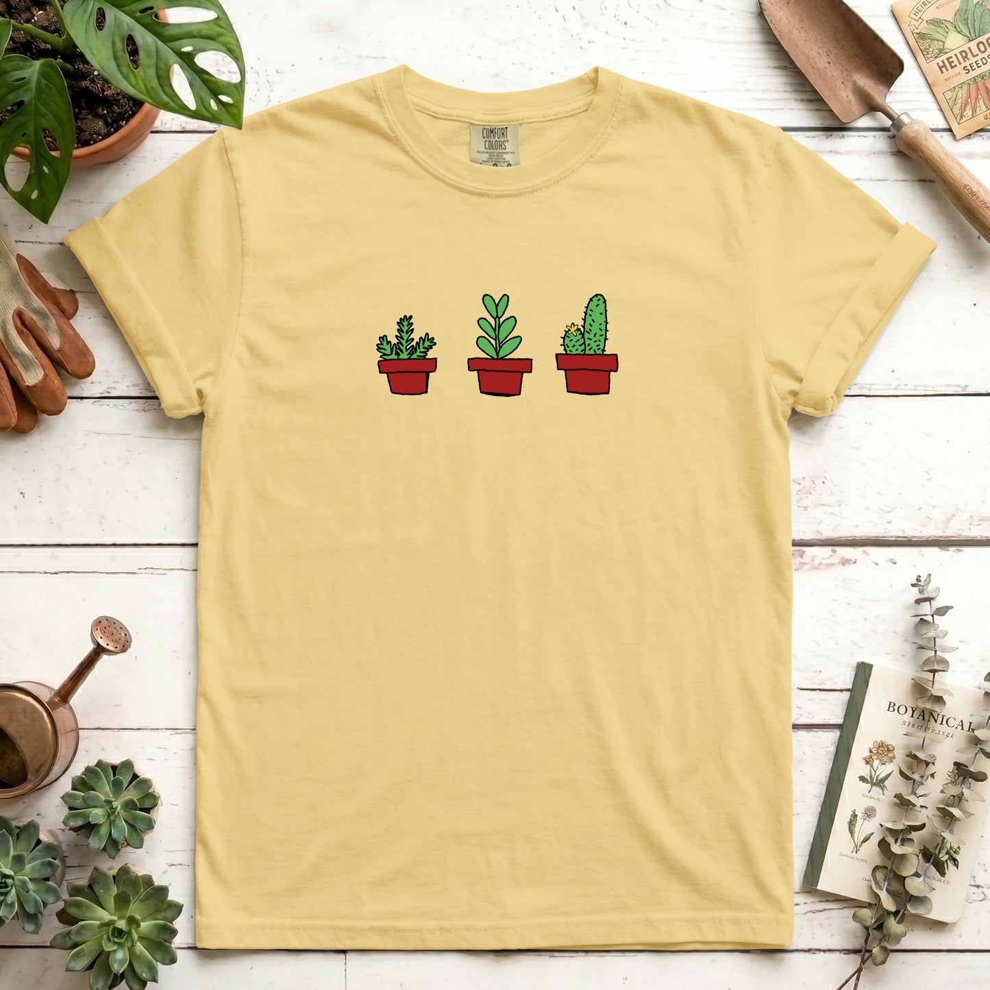 house plants