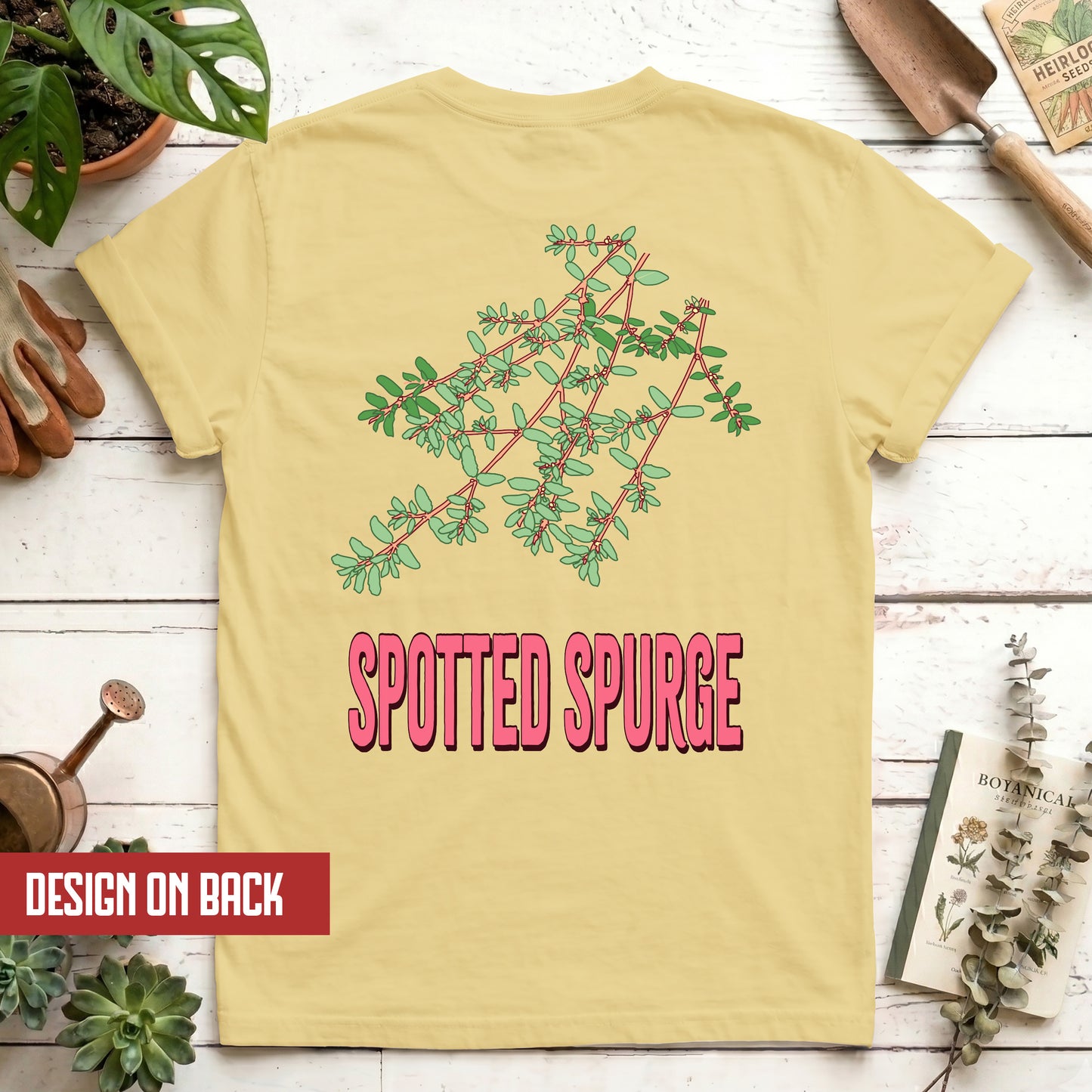 Spotted Spurge