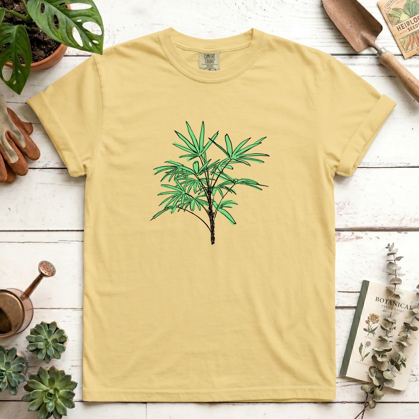 Lady Palm - Front