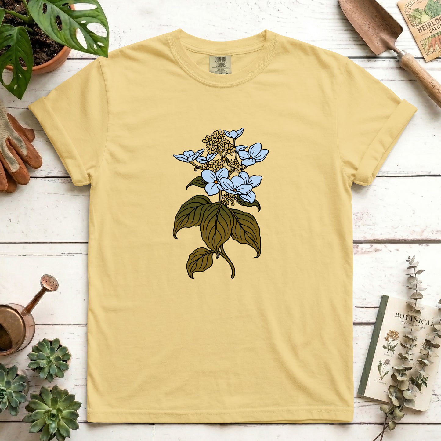 Hydrangea - Front