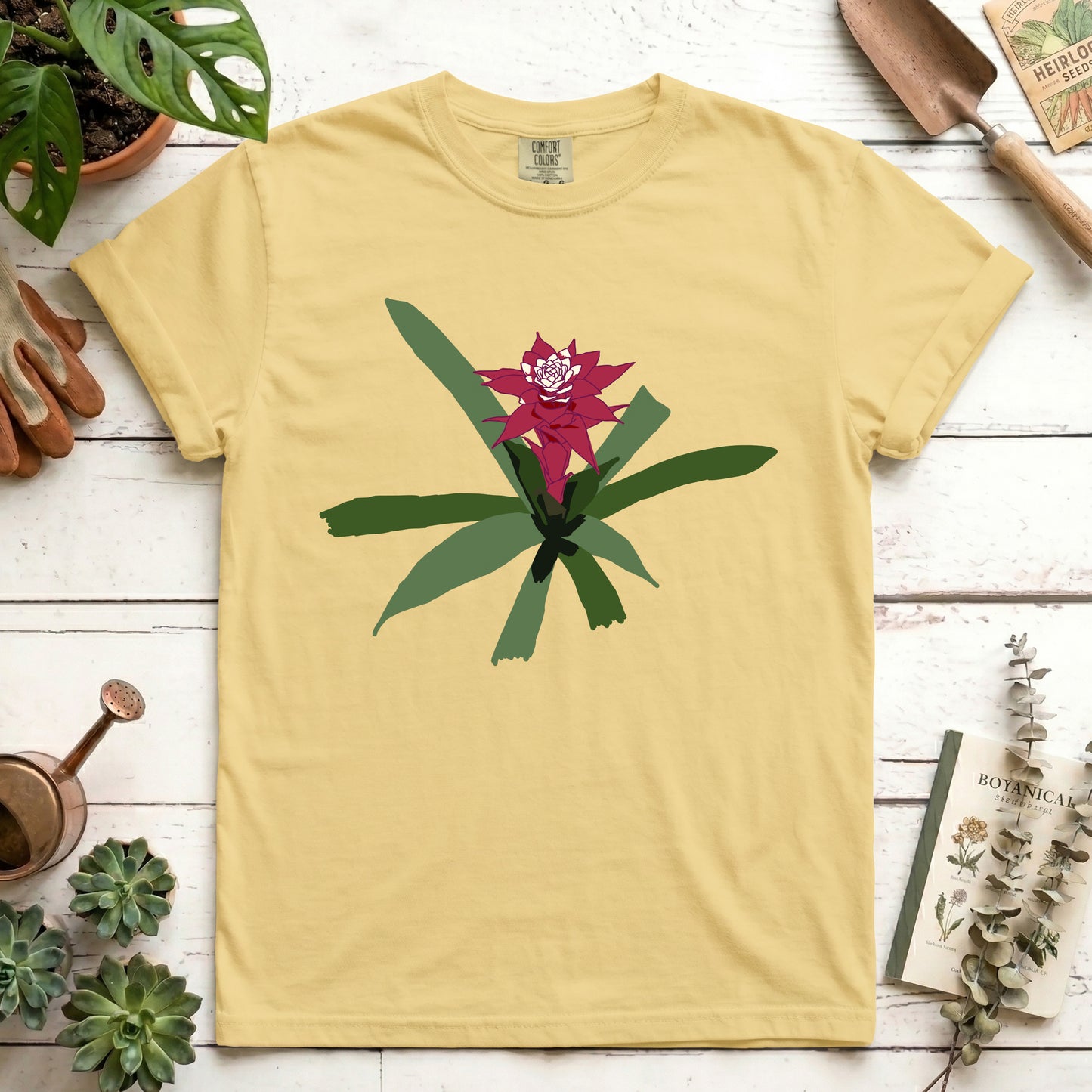 maroon bromeliad