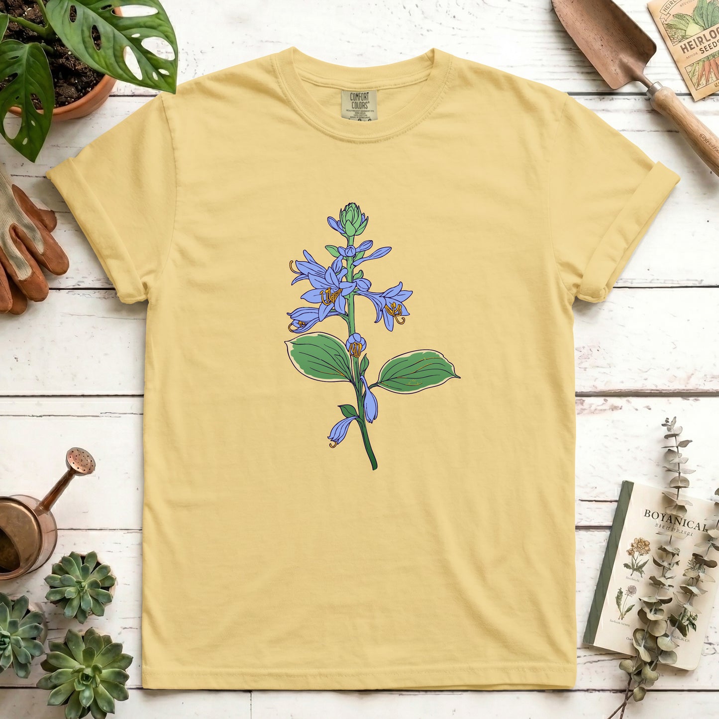 Hosta - Front