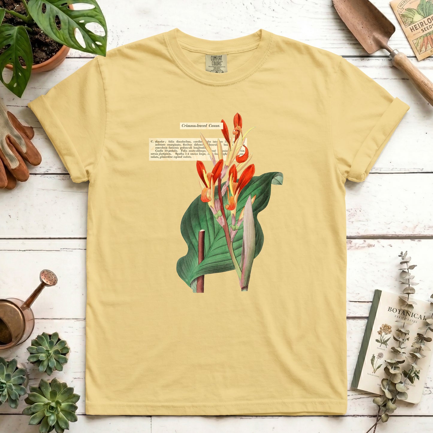 Crimson-leaved Canna