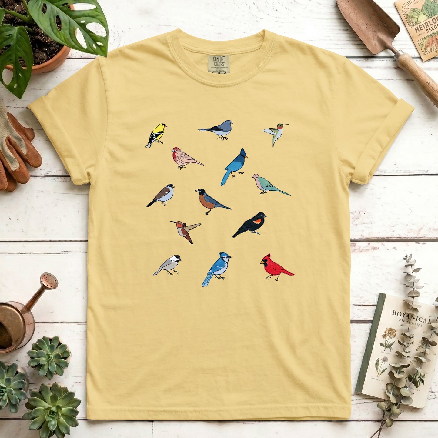 Birds