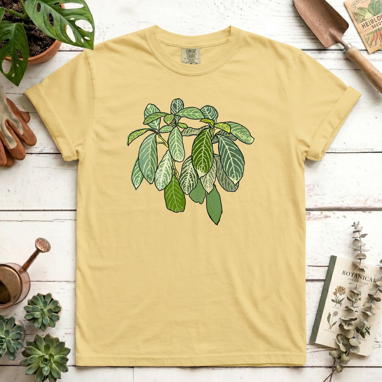 Zebra Plant
