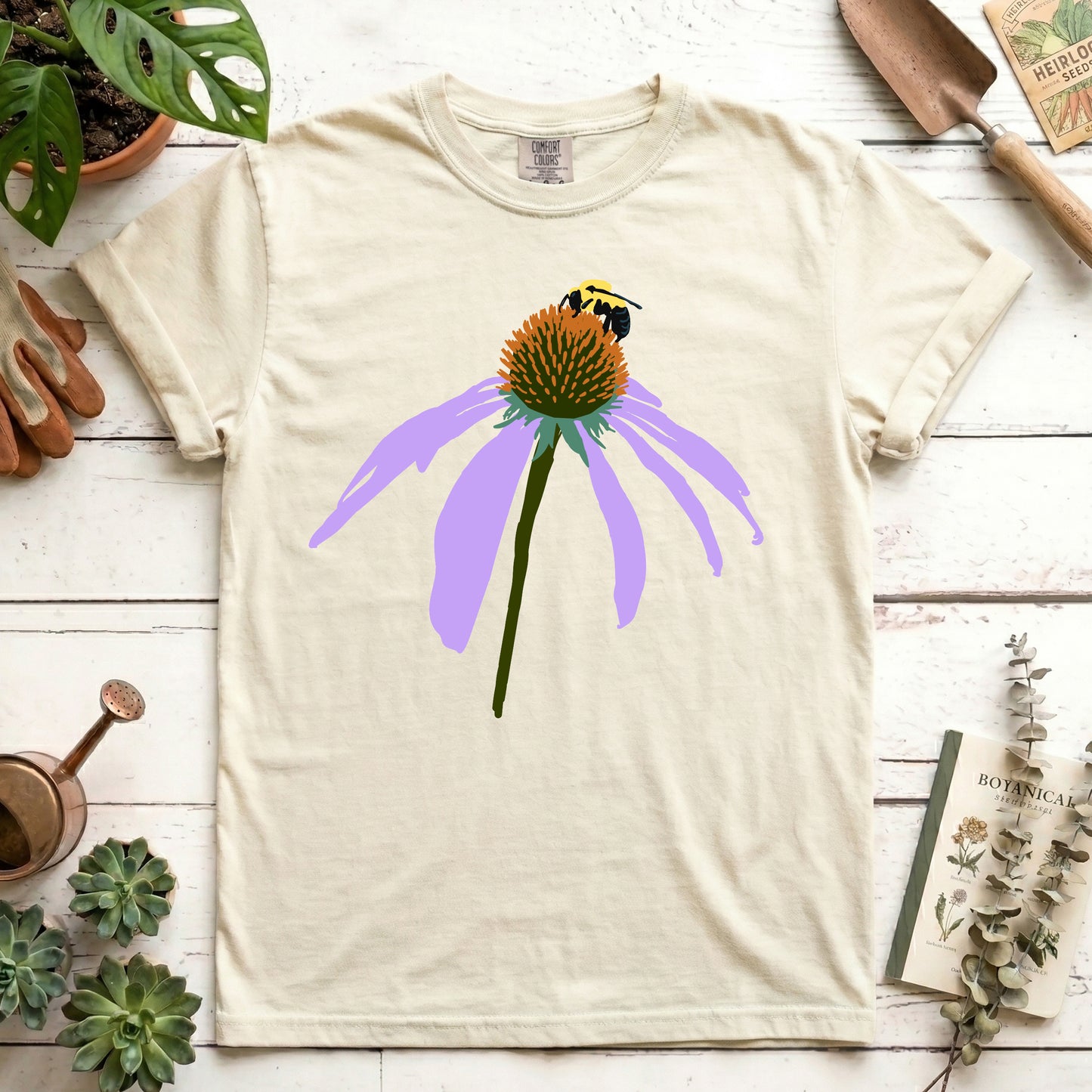 Coneflower