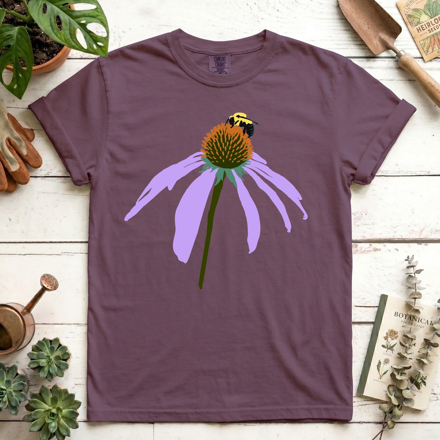 Coneflower