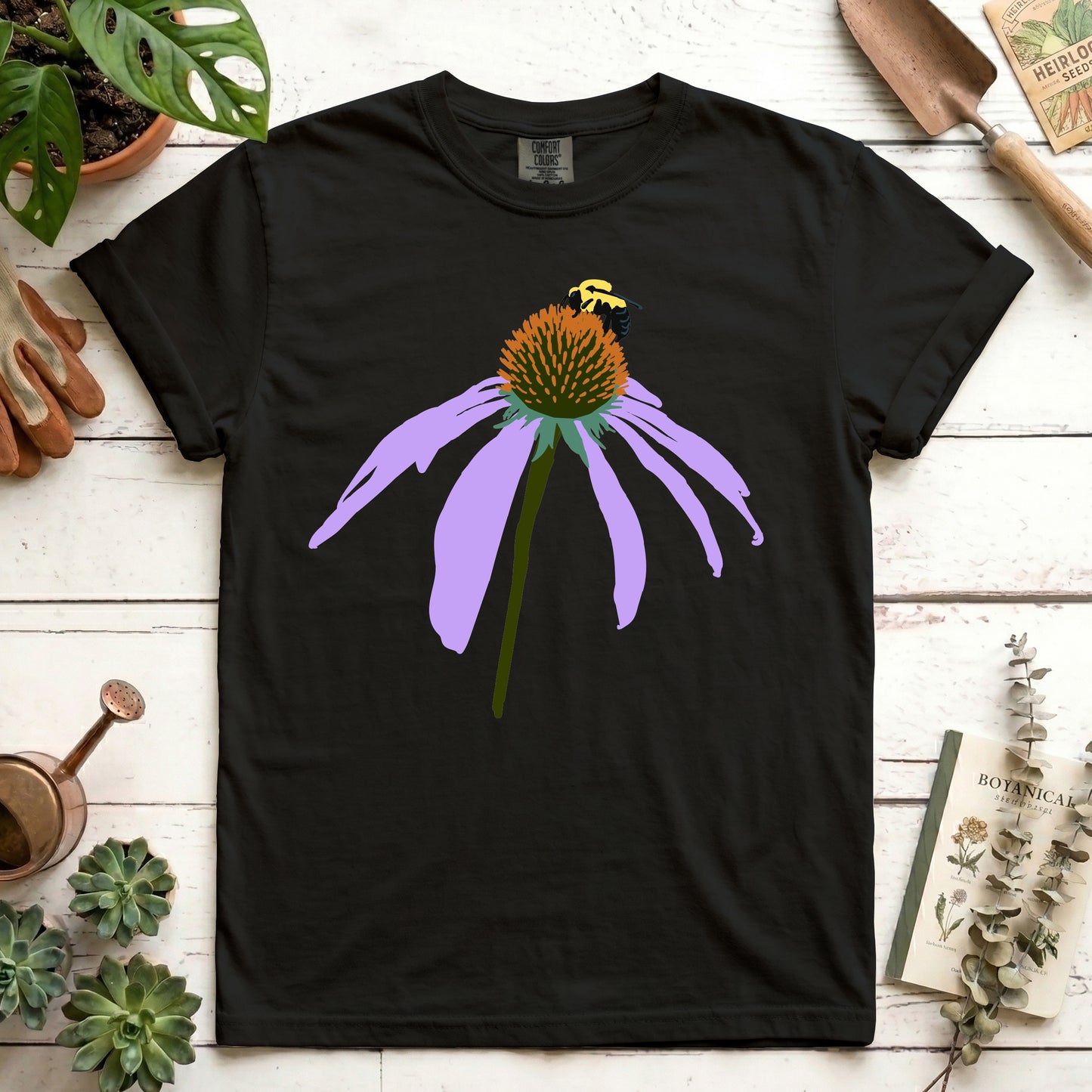 Coneflower