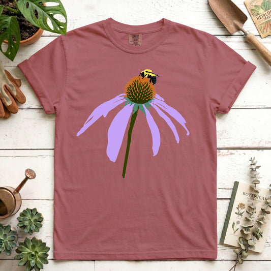 Coneflower