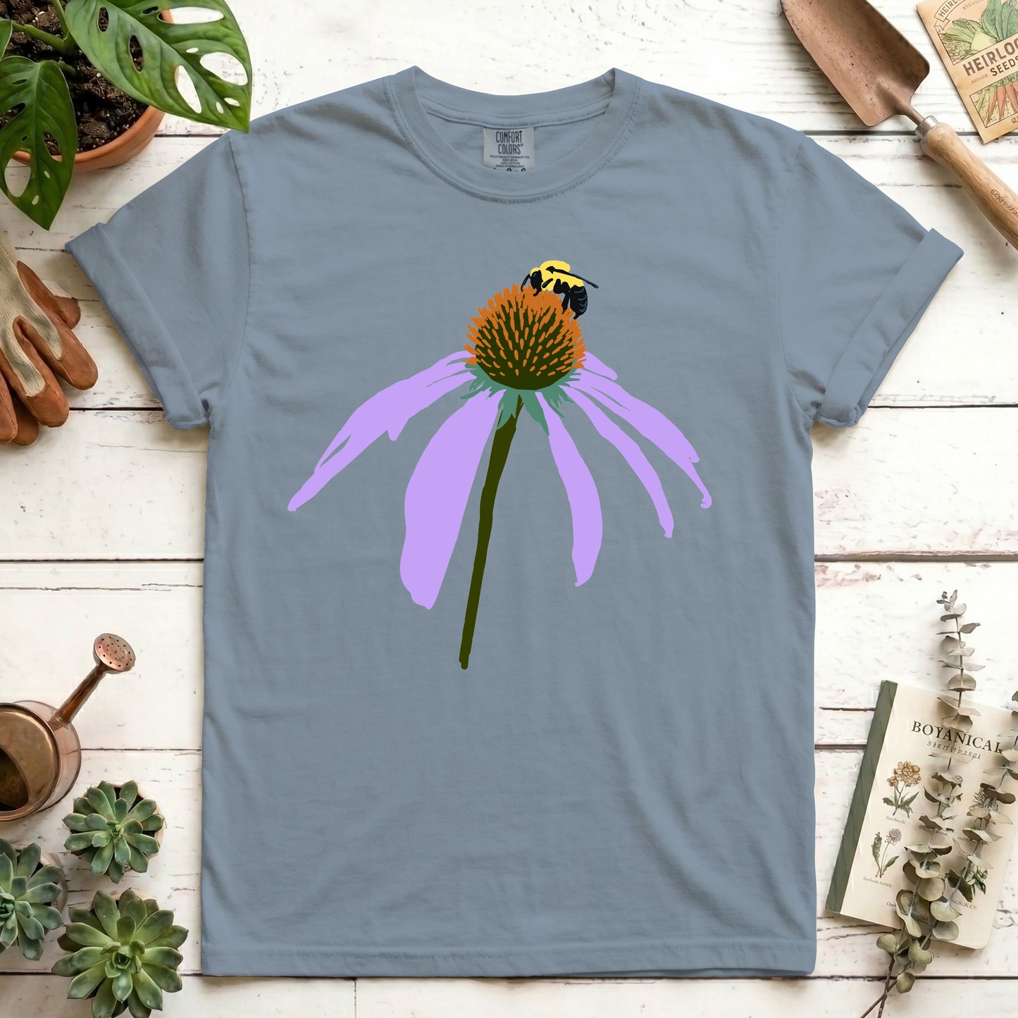 Coneflower