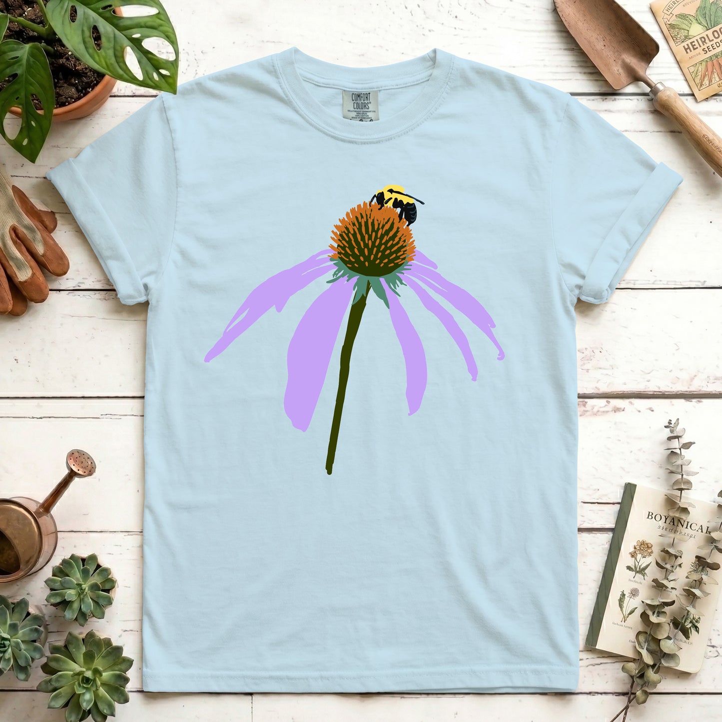 Coneflower