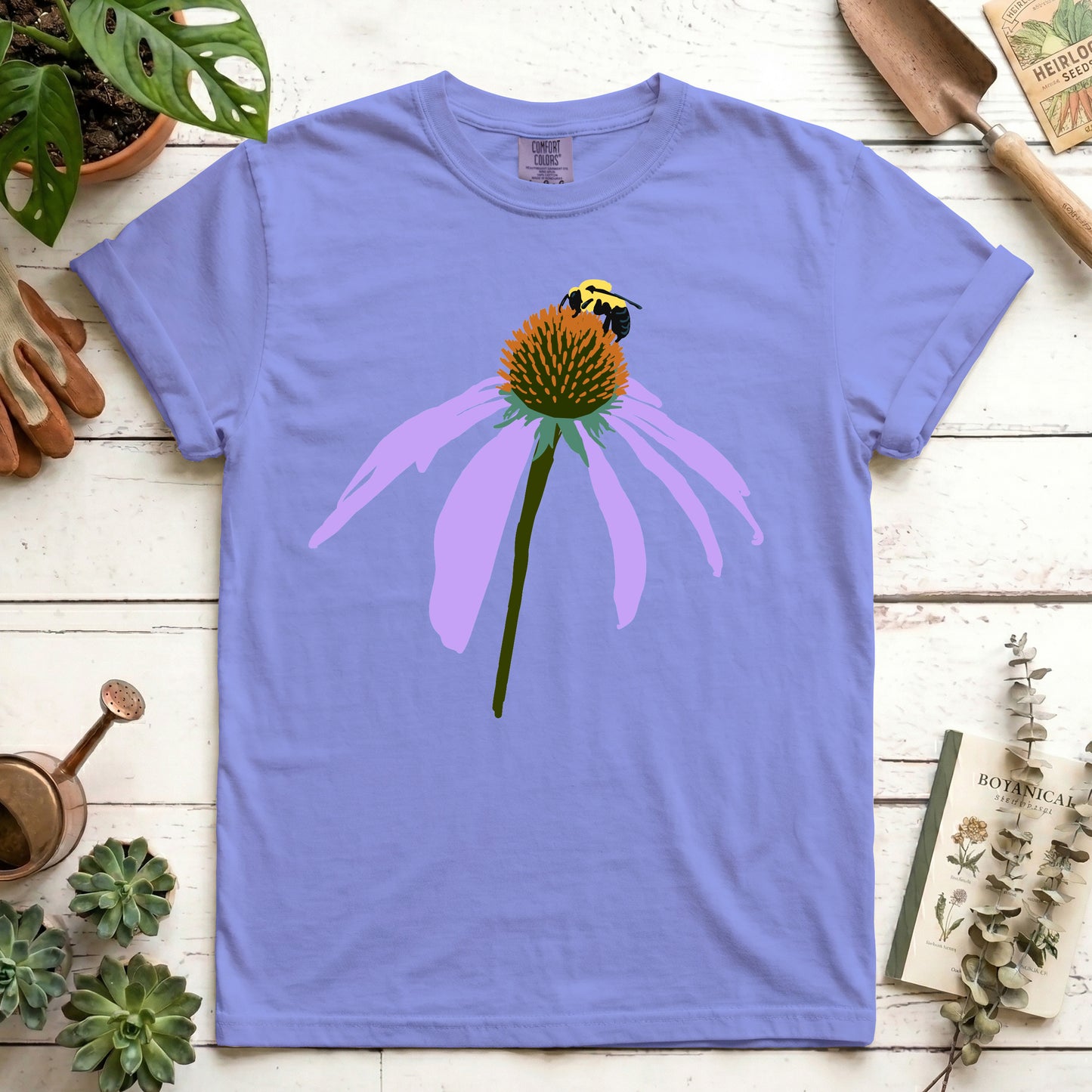 Coneflower
