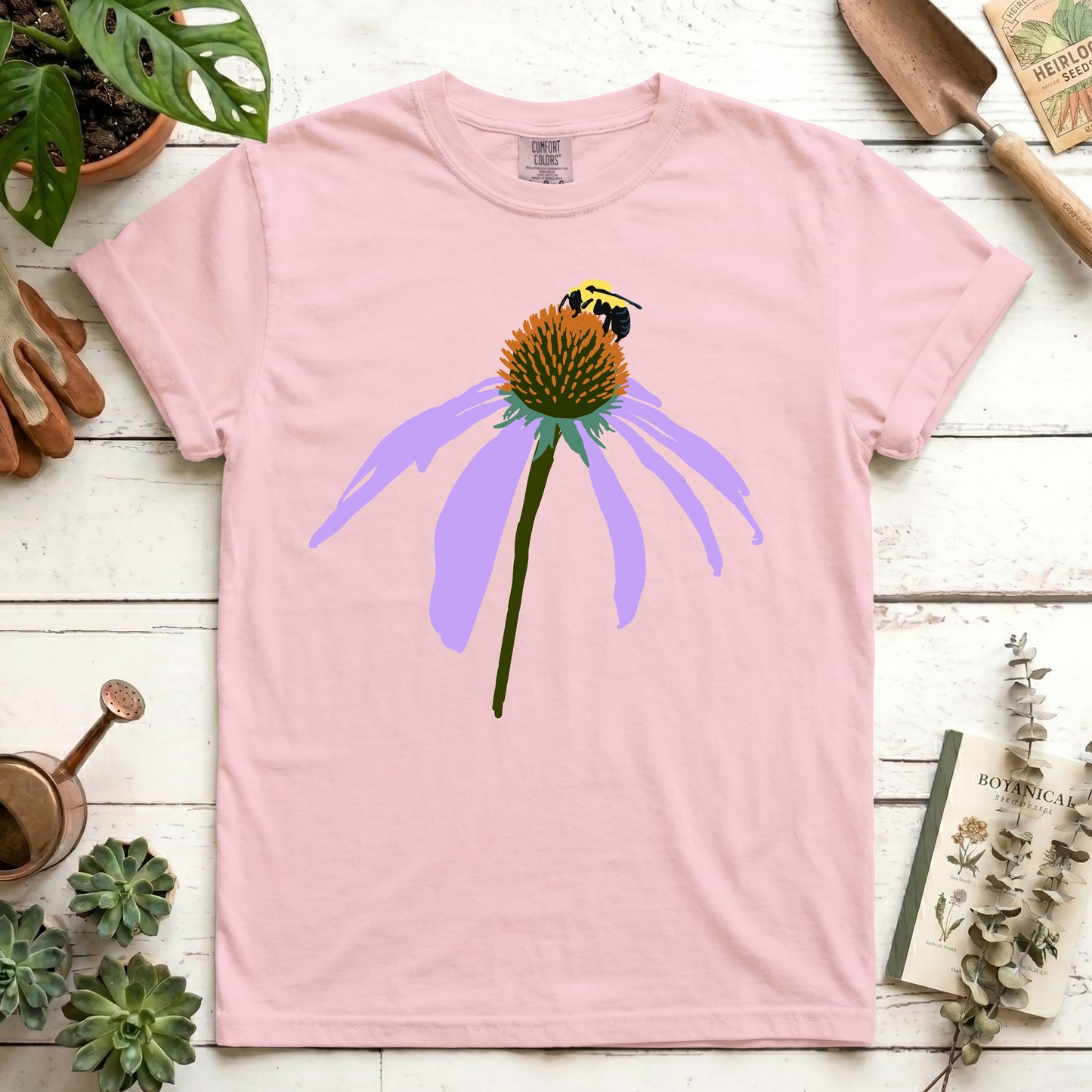 Coneflower