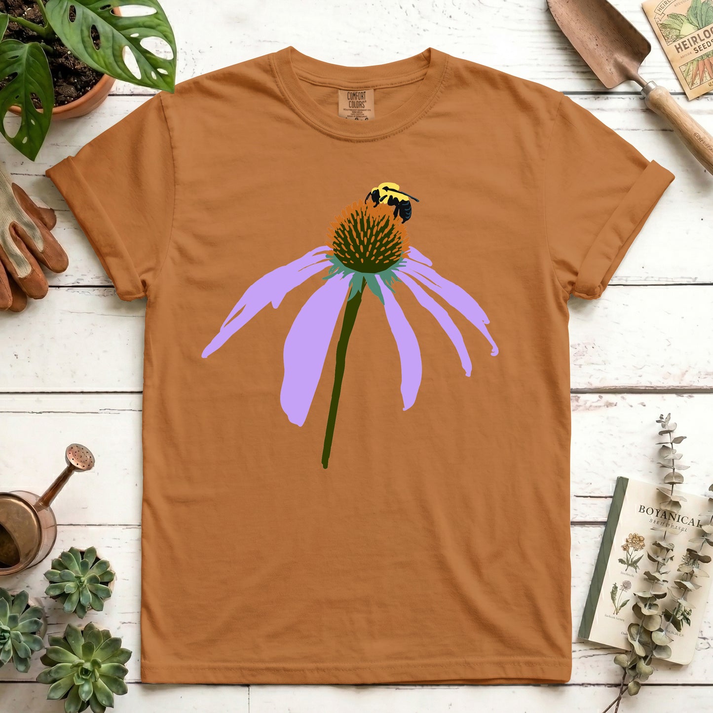 Coneflower