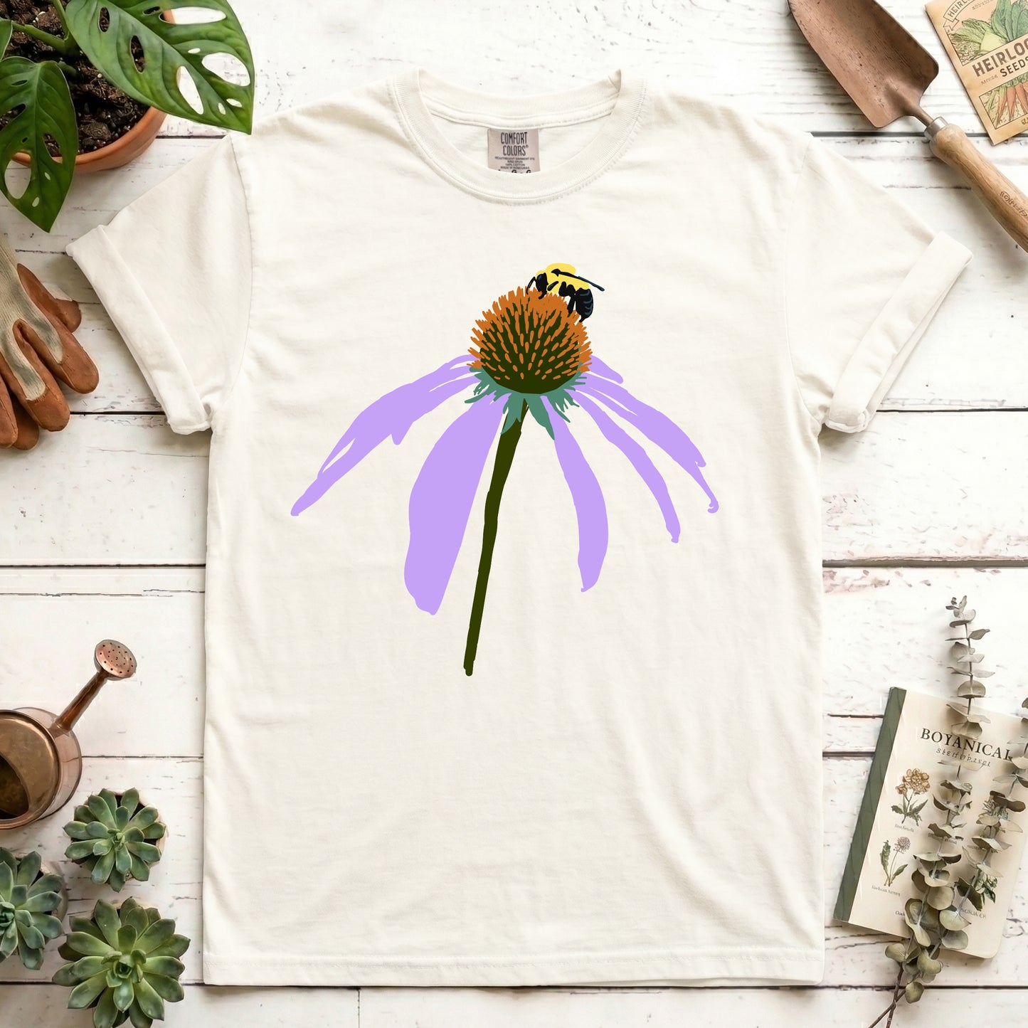 Coneflower