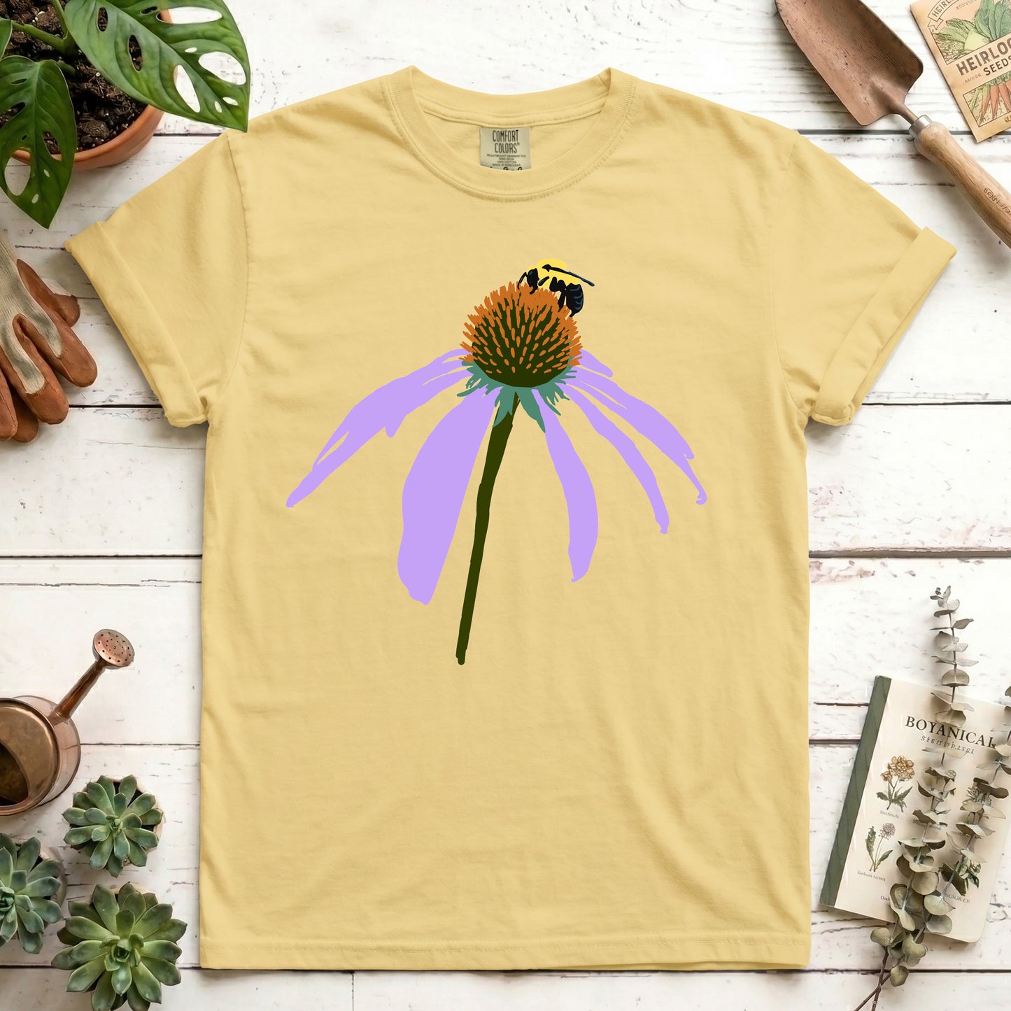 Coneflower